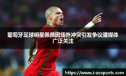 葡萄牙足球明星佩佩因场外冲突引发争议遭媒体广泛关注
